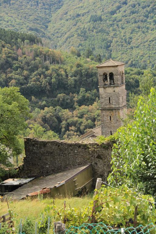 Casa Filomena Bed & Breakfast Faggeto Lario Bagian luar foto