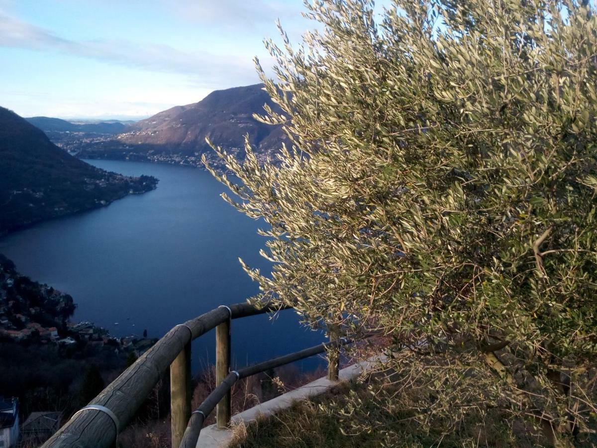 Casa Filomena Bed & Breakfast Faggeto Lario Bagian luar foto